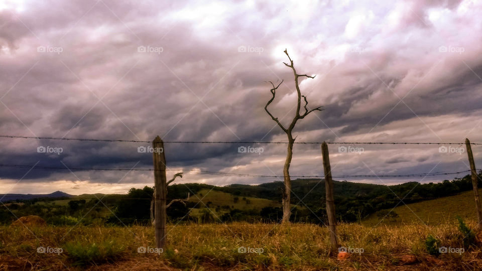 rustic road landscape with many clouds in the sky and dry trees