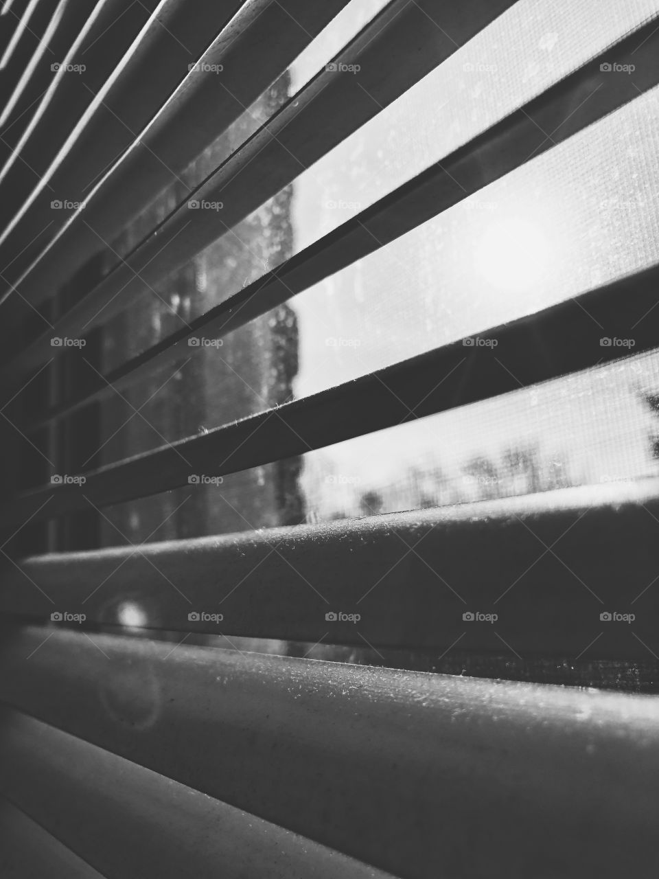 Dusty blinds