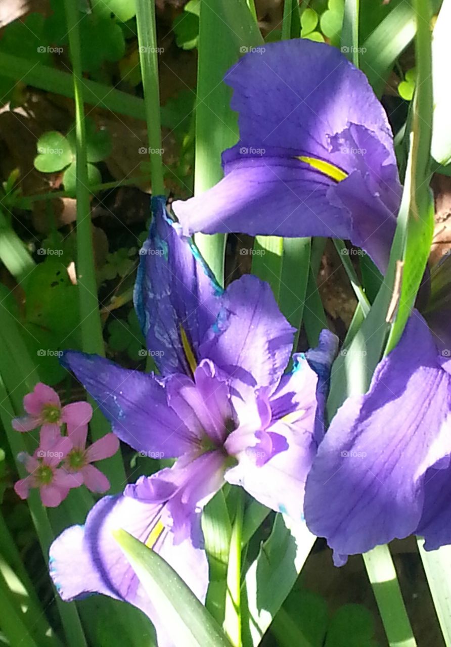 And the sun peeks through