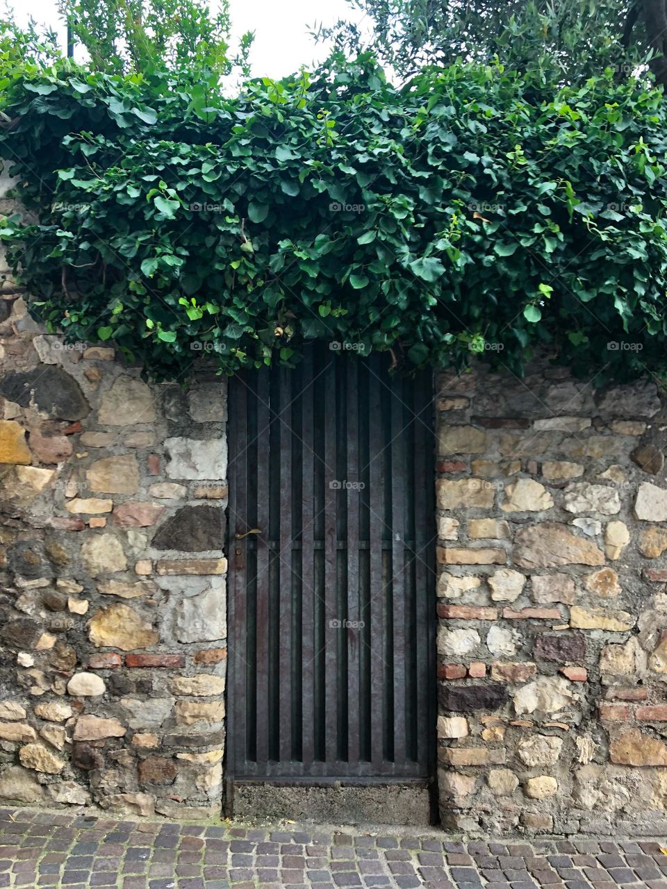 Stone fence with metal door and green plant Sirmione Italy 