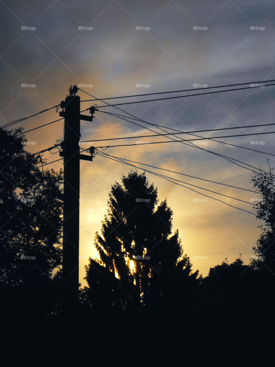 Sunset wires and some trees and clouds