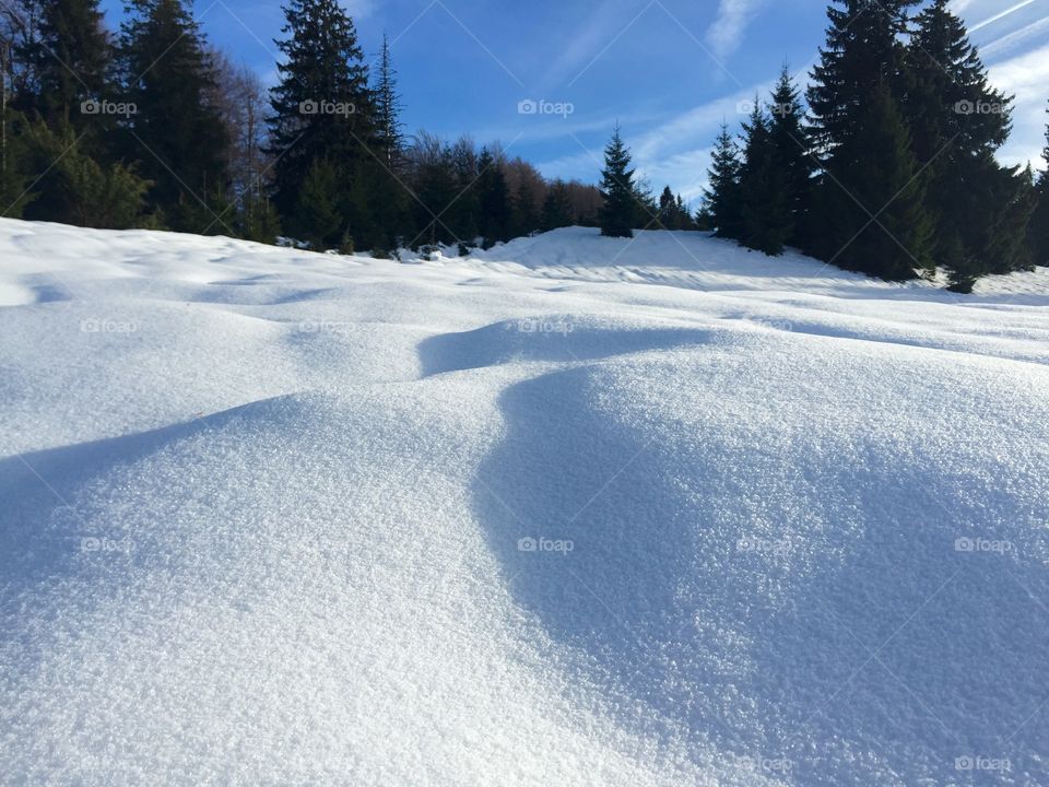 View of snow covered landscape