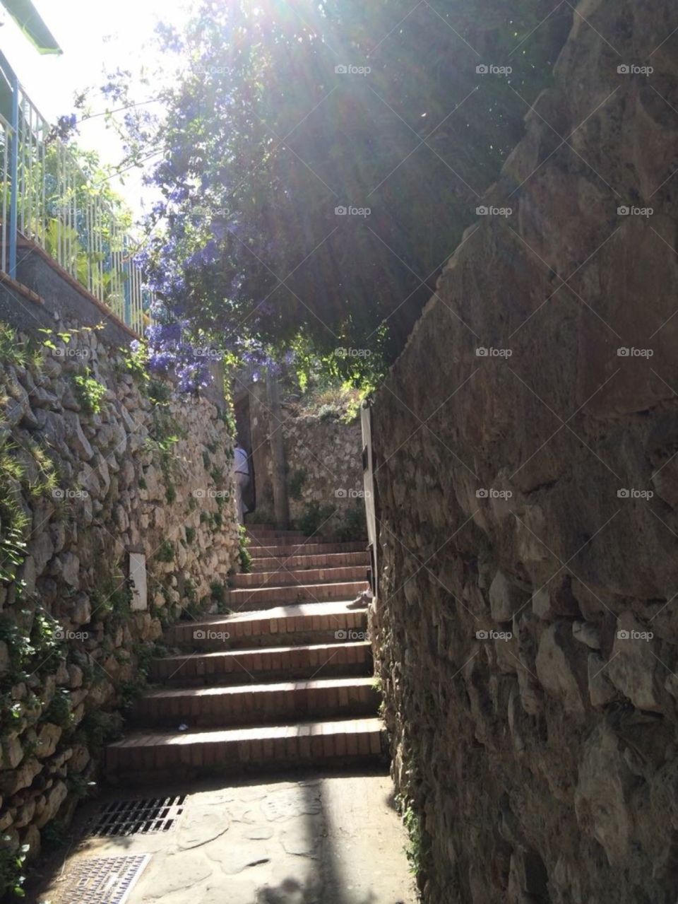 Capri ( Italy)