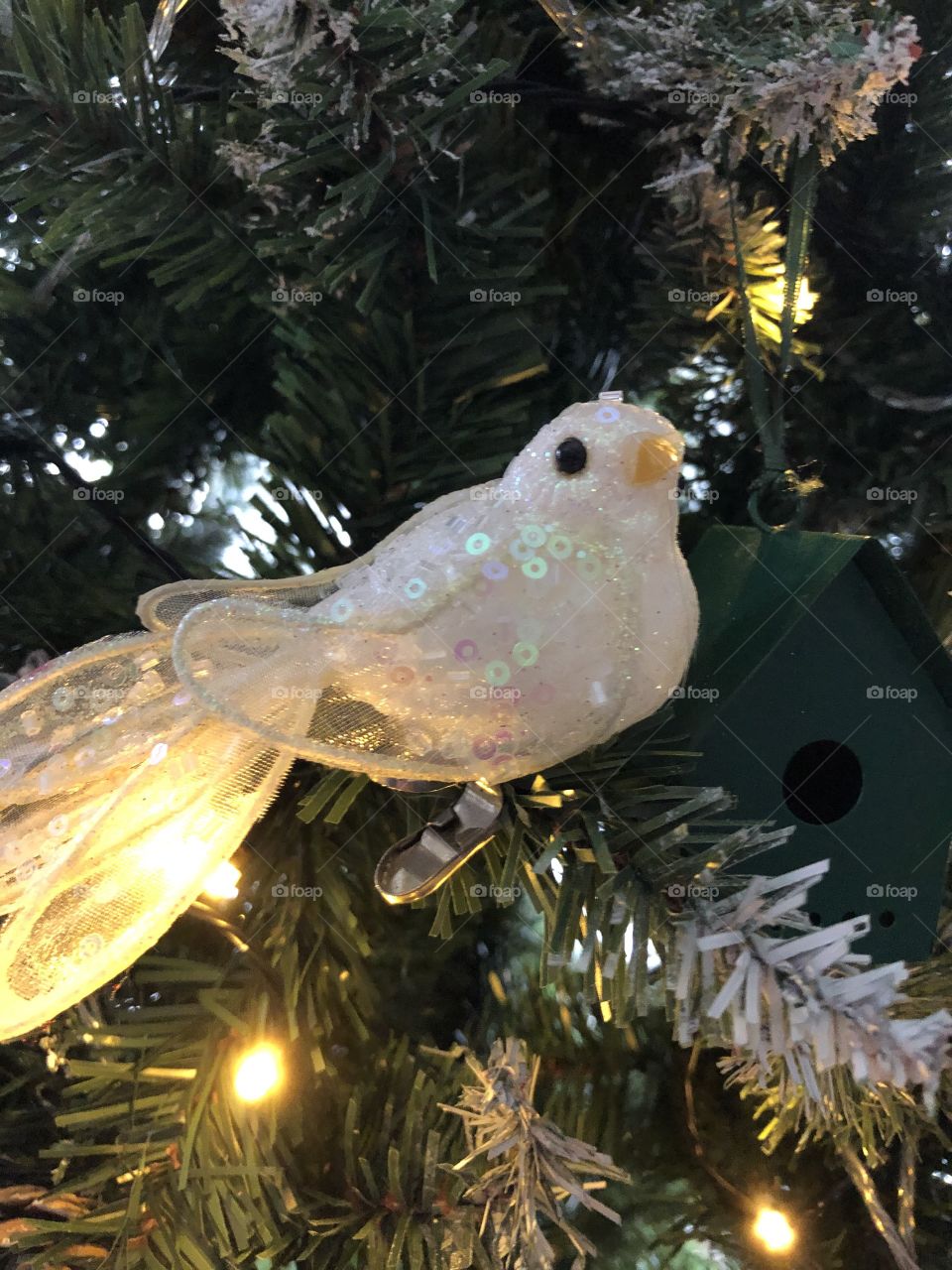 Beautiful dove sitting on the Christmas tree