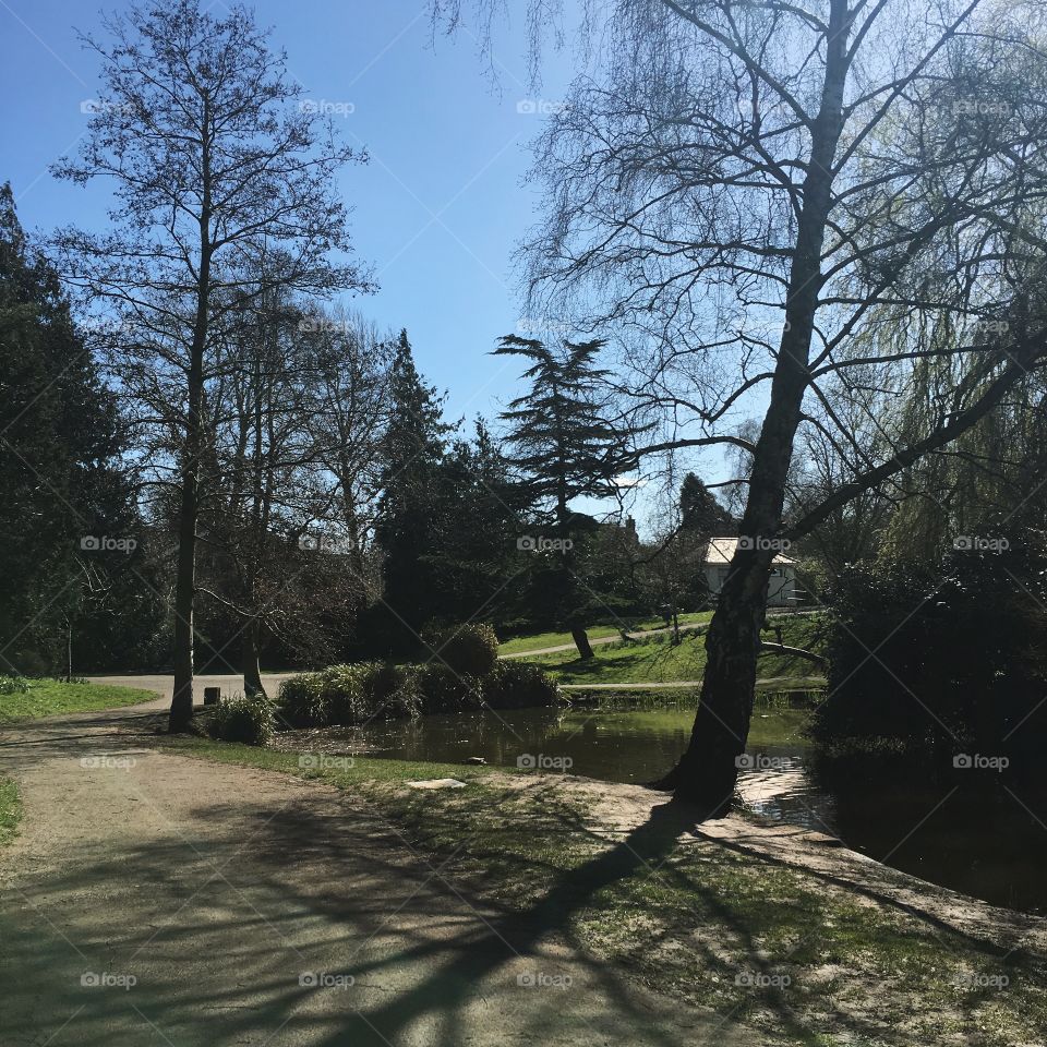 Walking in Hatherley Park, Cheltenham
