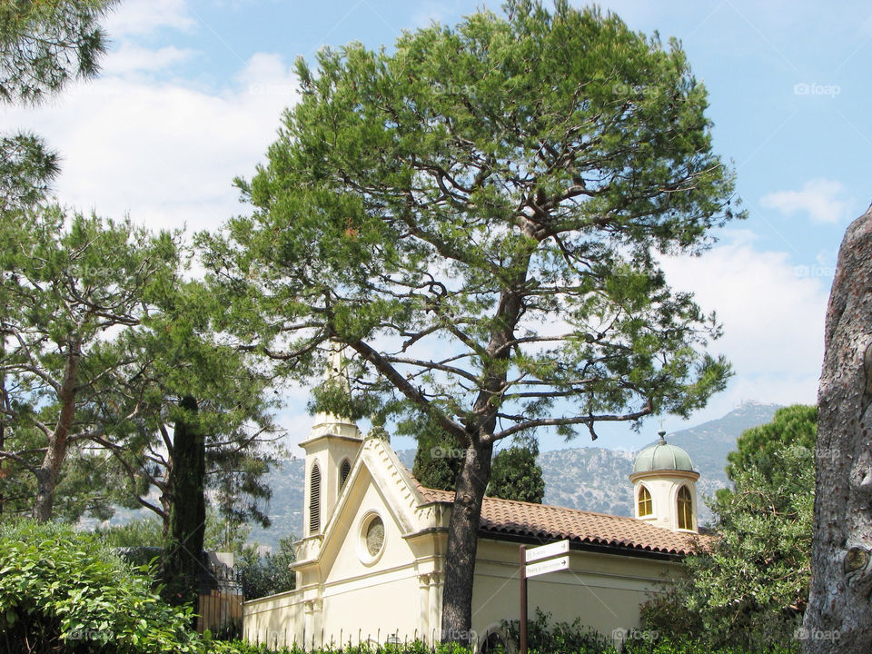 tree building cene by angeljack