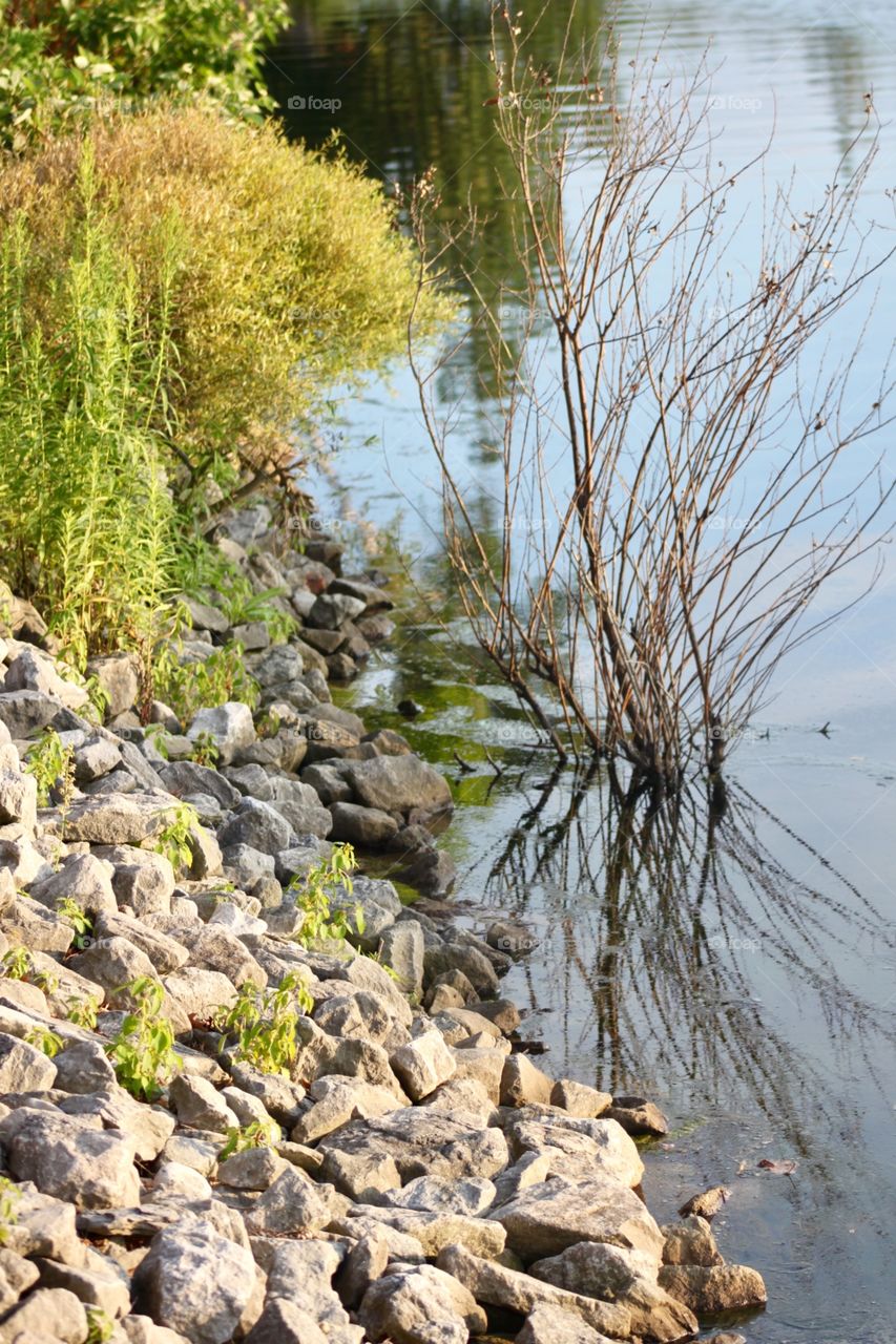 River. River stones. Reflection.