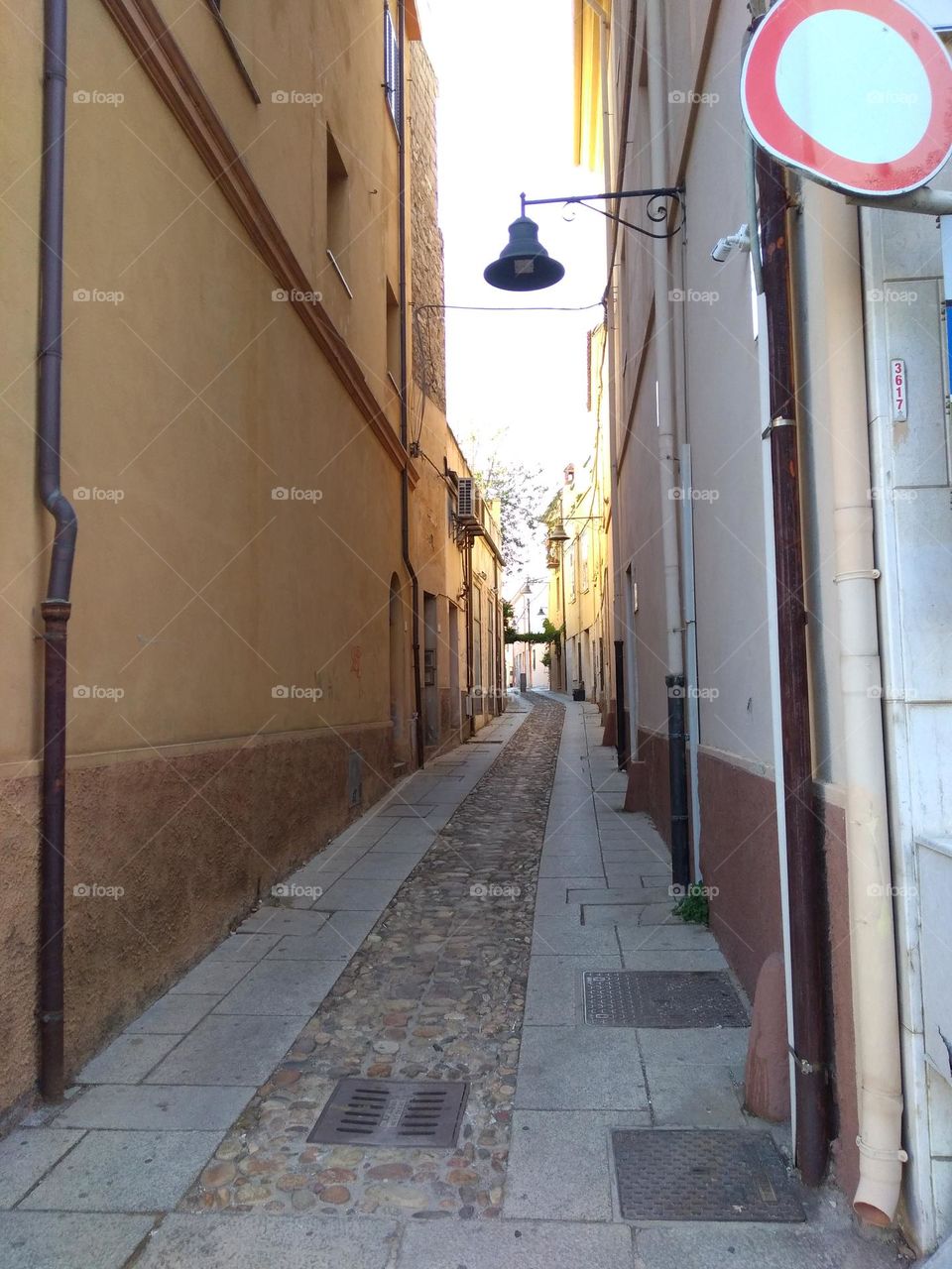 Editors' Choice: Photo of the Week