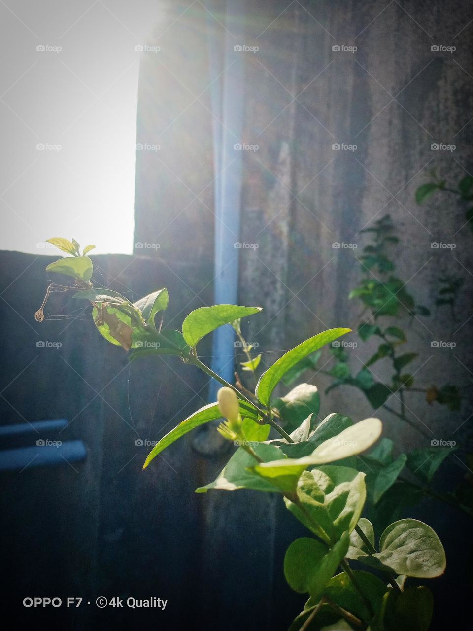 Such a successful imagination