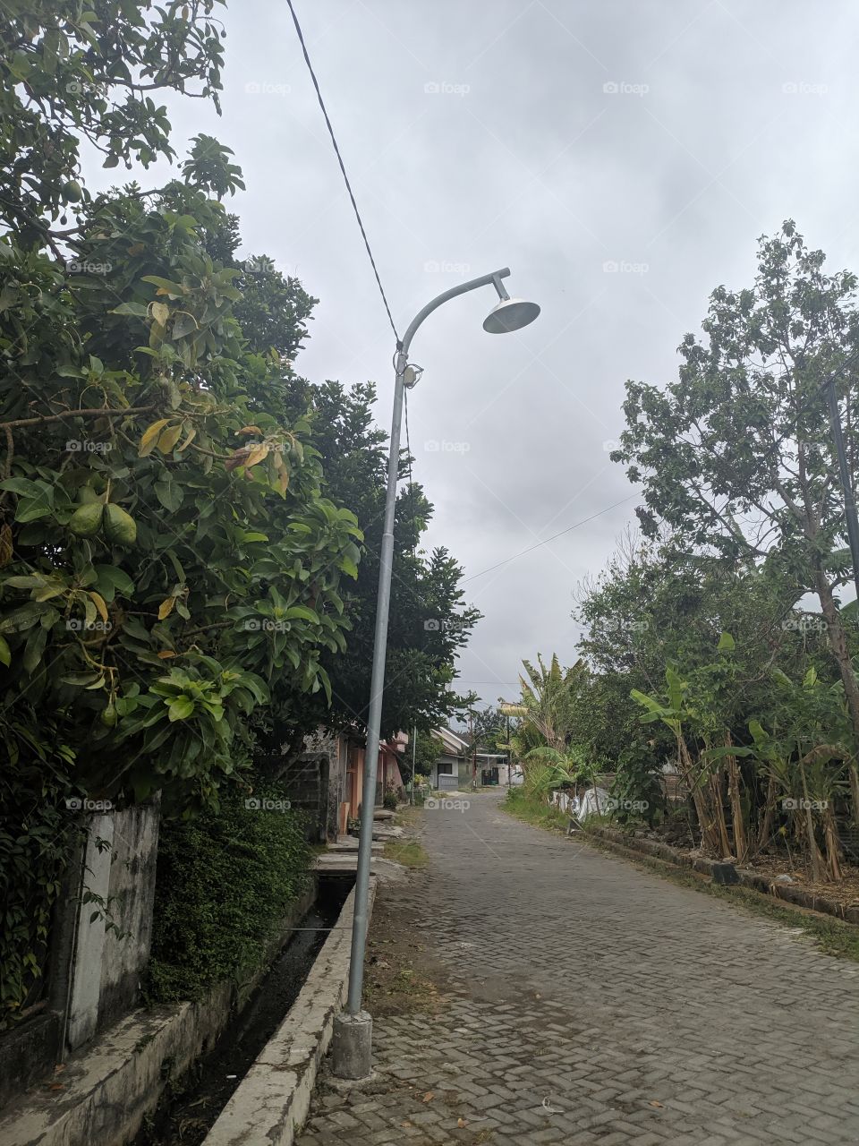 street lights in the village