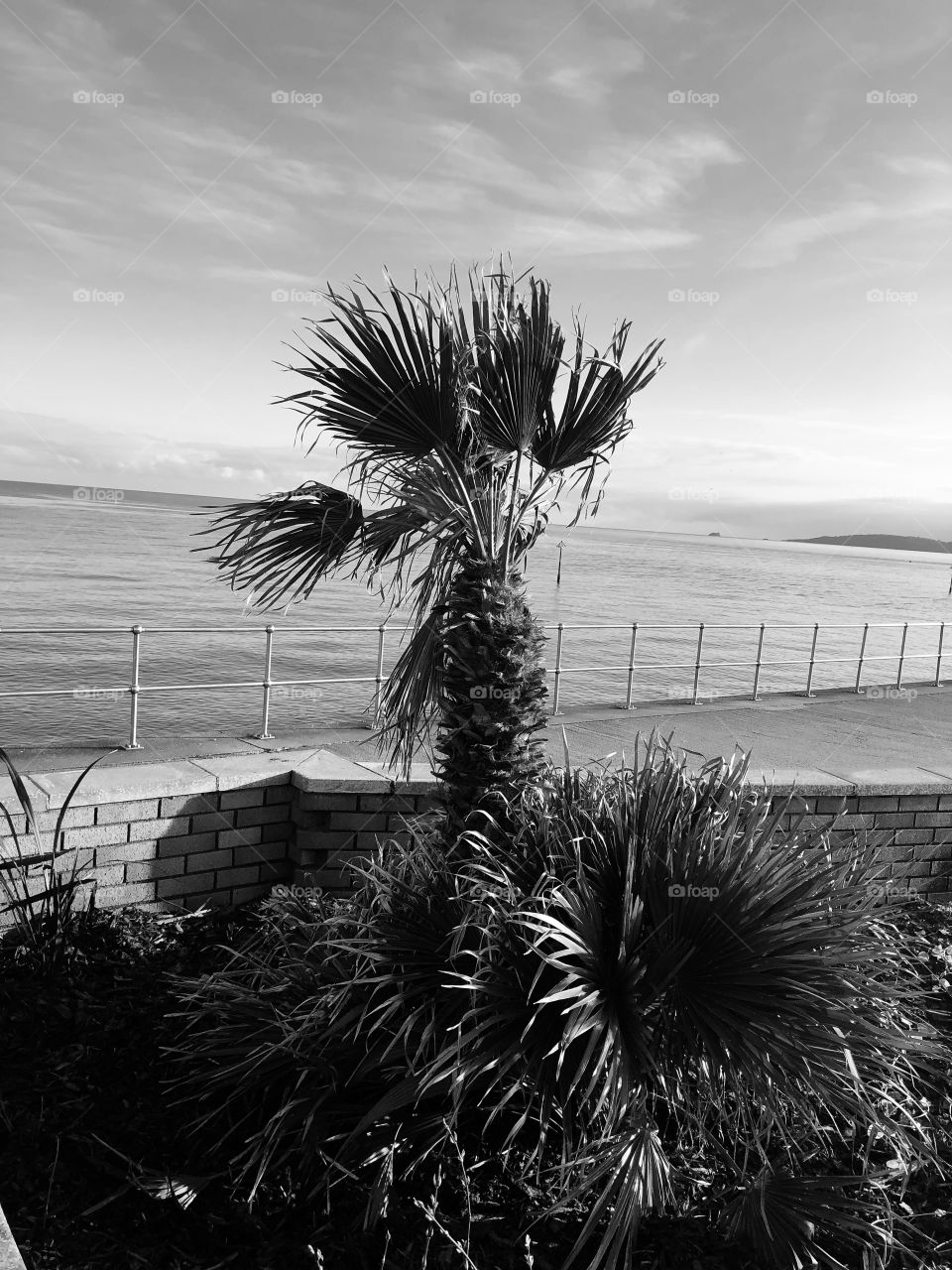 This is the black and white version of January 2020’. Teignmouth, Devon’s seafront.