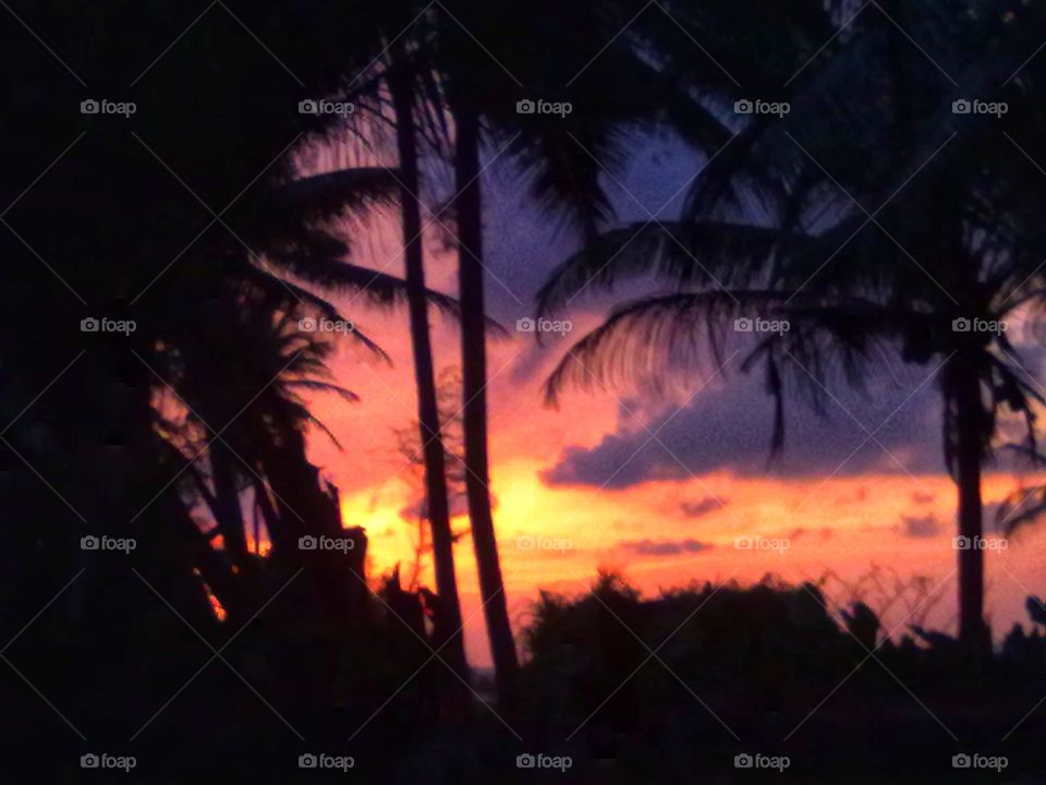 Beautiful colorful sunset