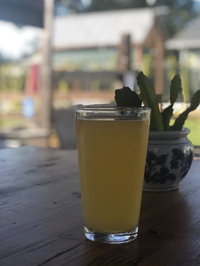Beer