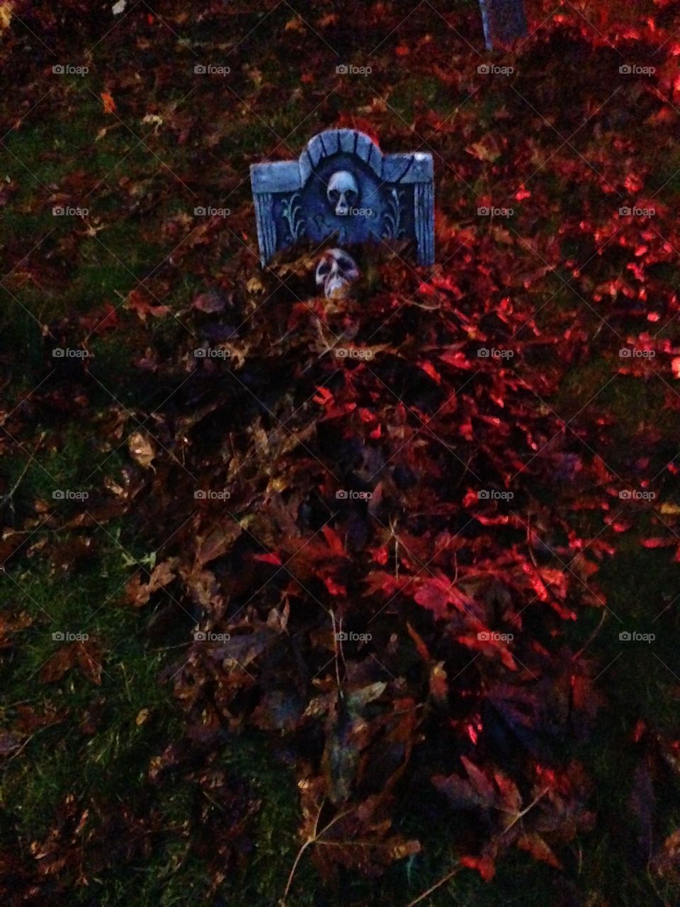 Our yard was a grave yard for Halloween with exposed bones, skulls, and as you can see, faces.