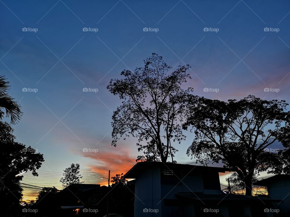 Sunrise sky with tree and house shadow.