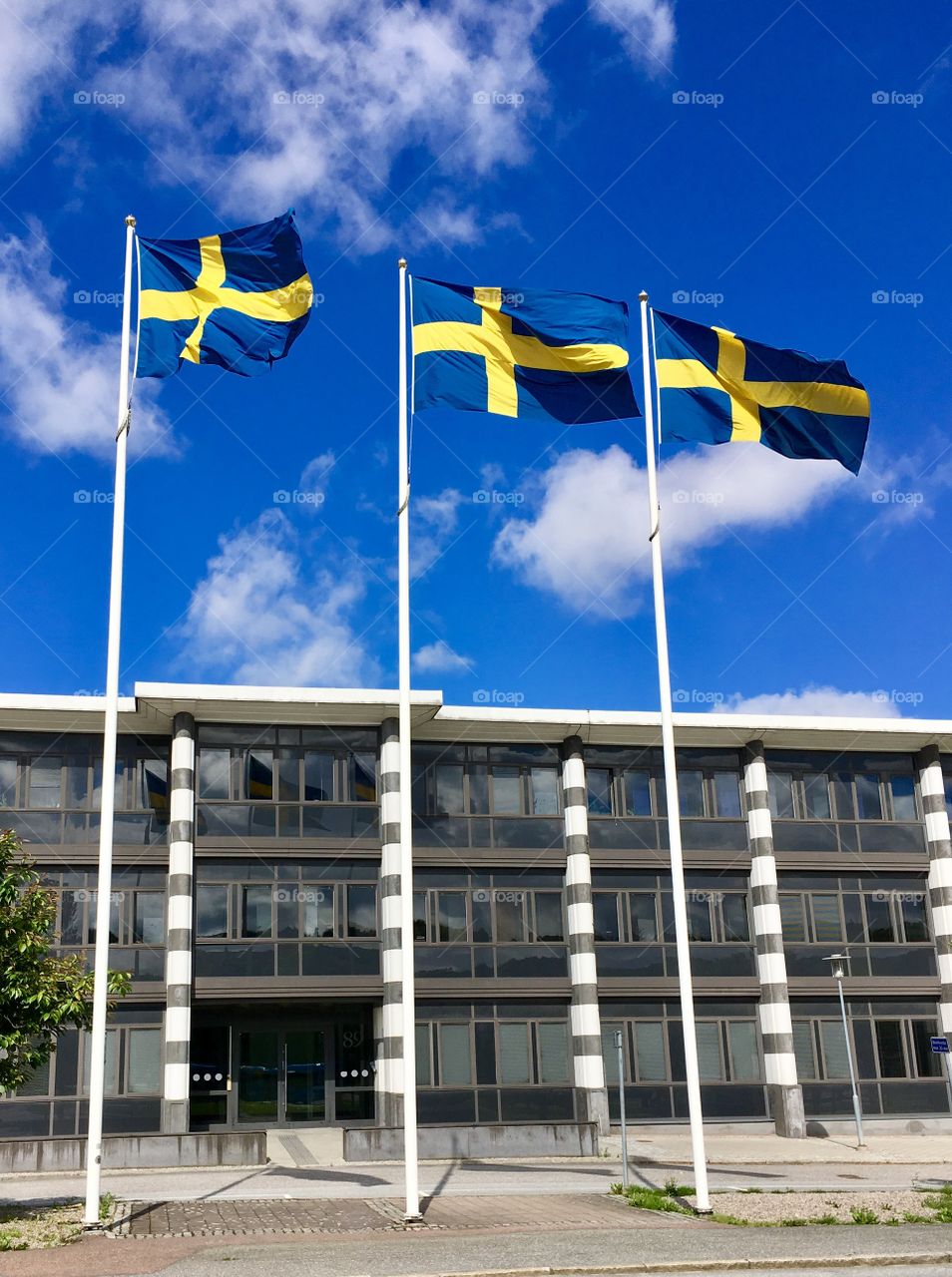 Swedish flags
