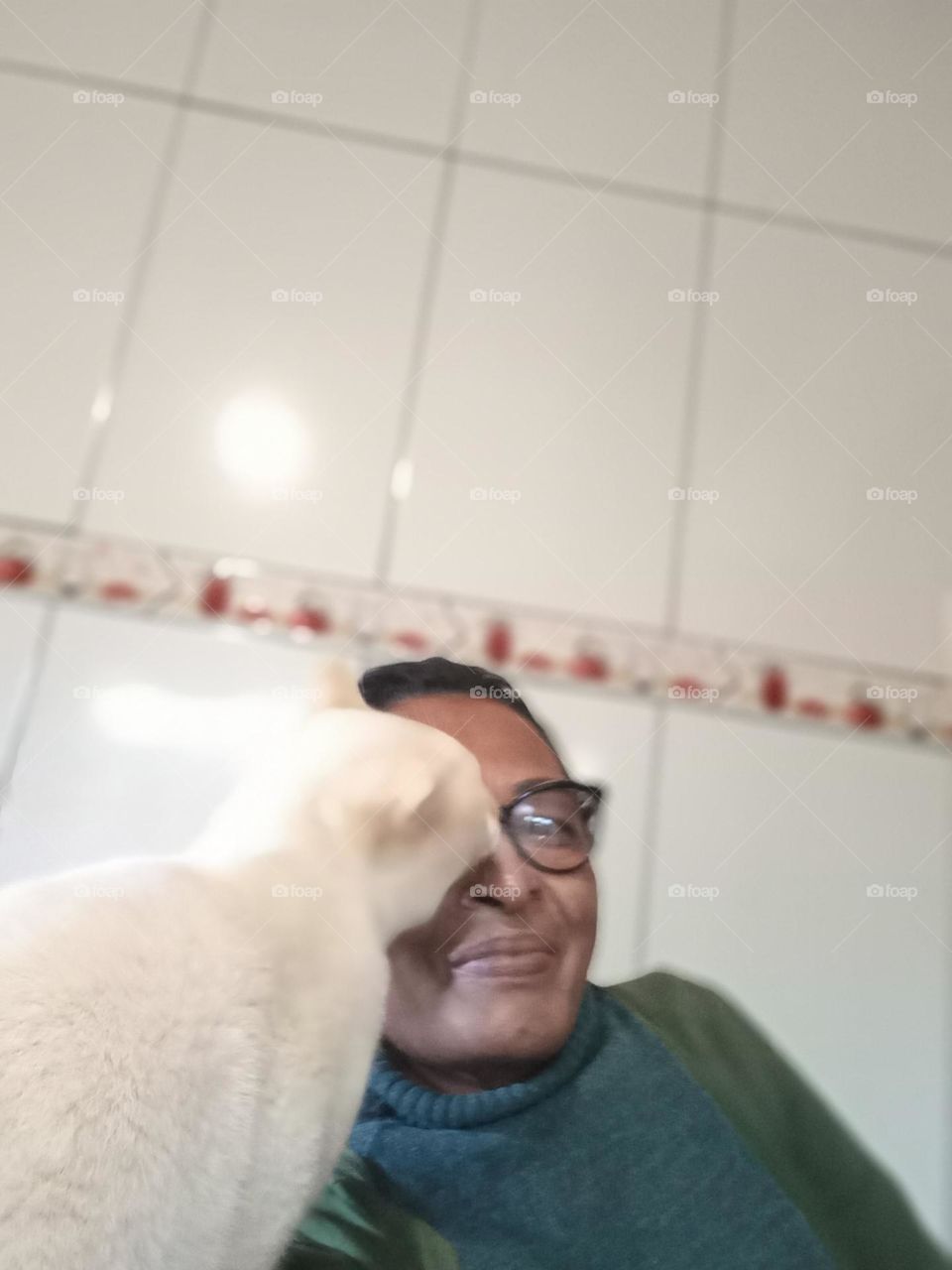 From the Group Gatinho fazendo afago na dona