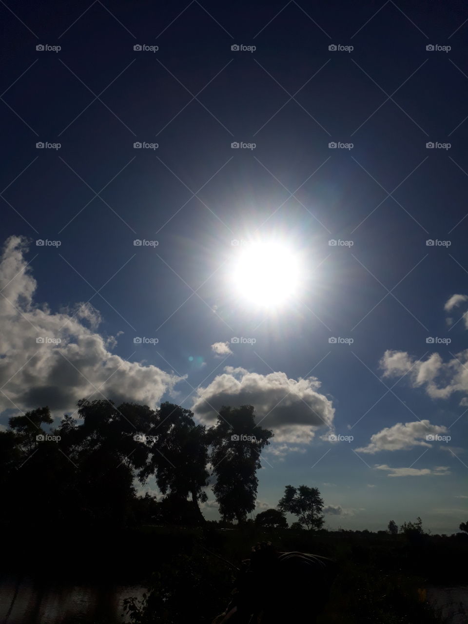 Beautiful sunlight in Indian village Purdy