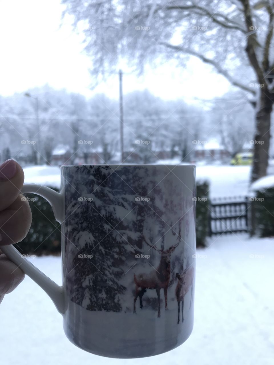 Morning brew in the snow