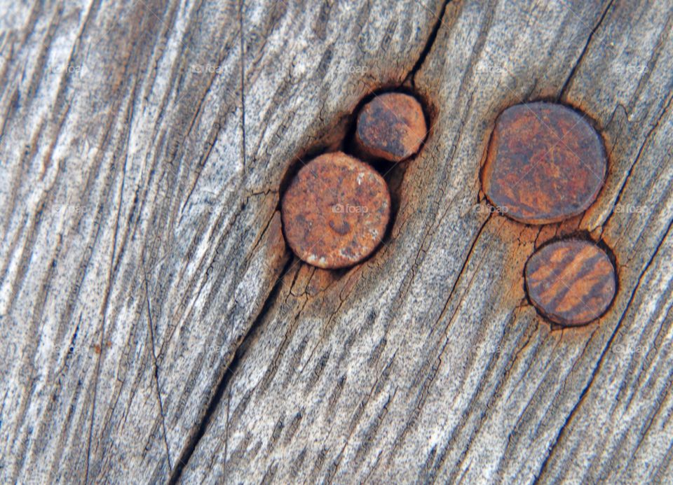 Old nails on wood texture background