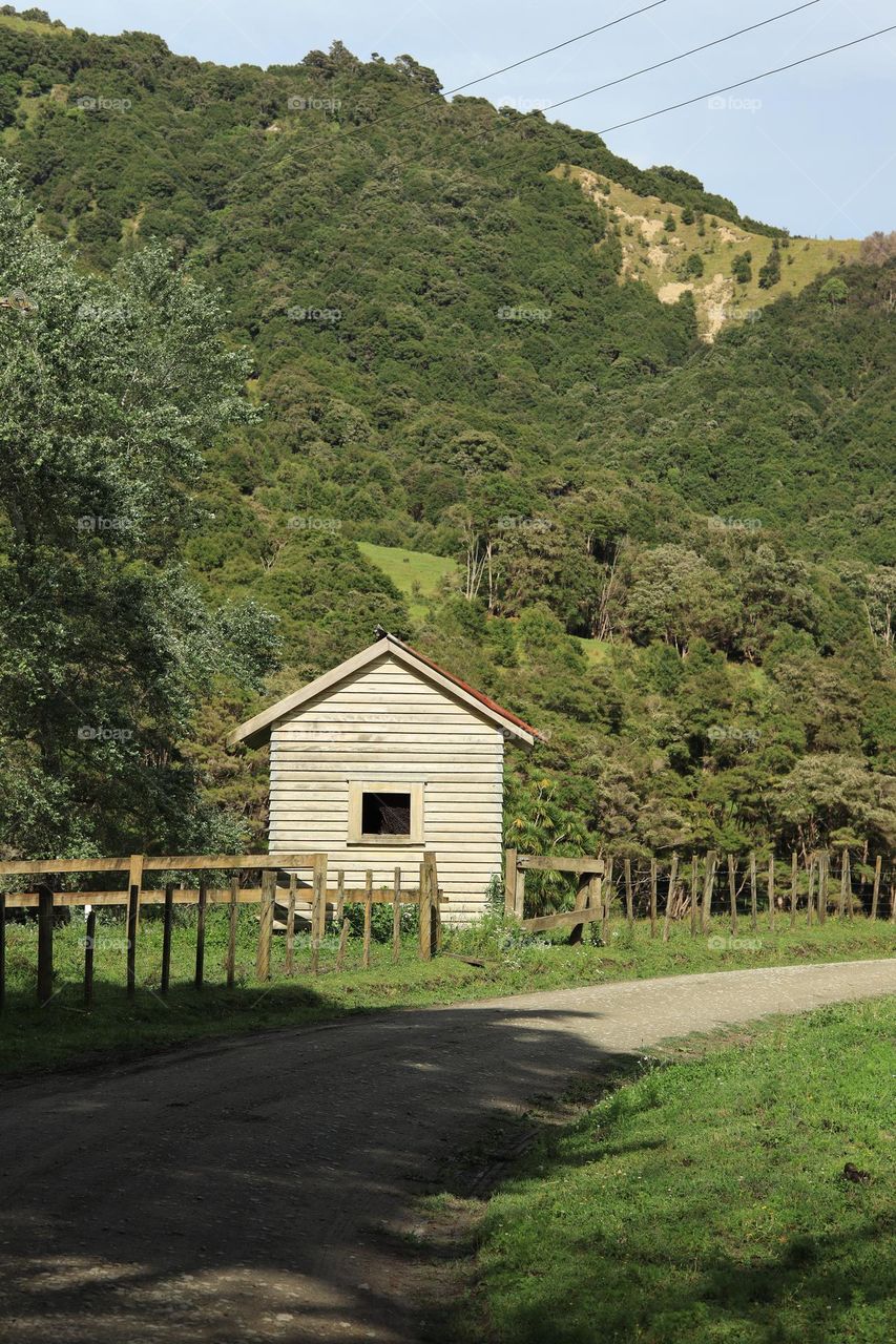 wooden hut in a forest