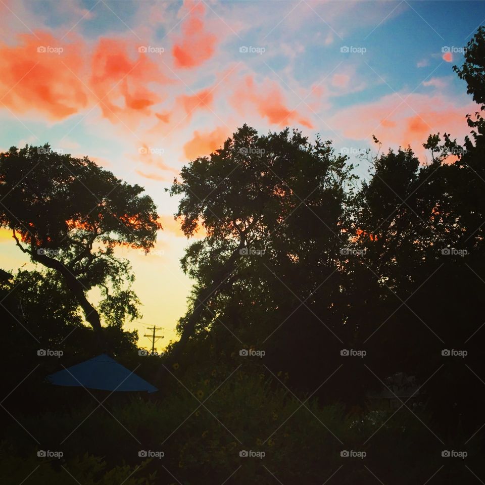 Tree, Landscape, Sunset, Silhouette, Light