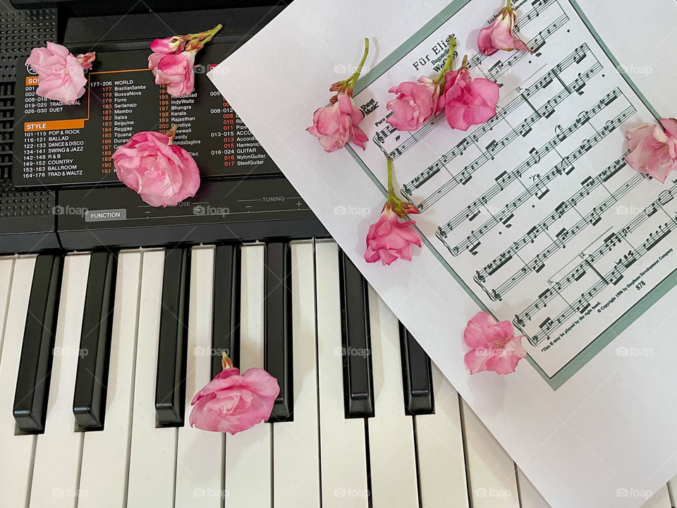 Harmony . Piano and music notes