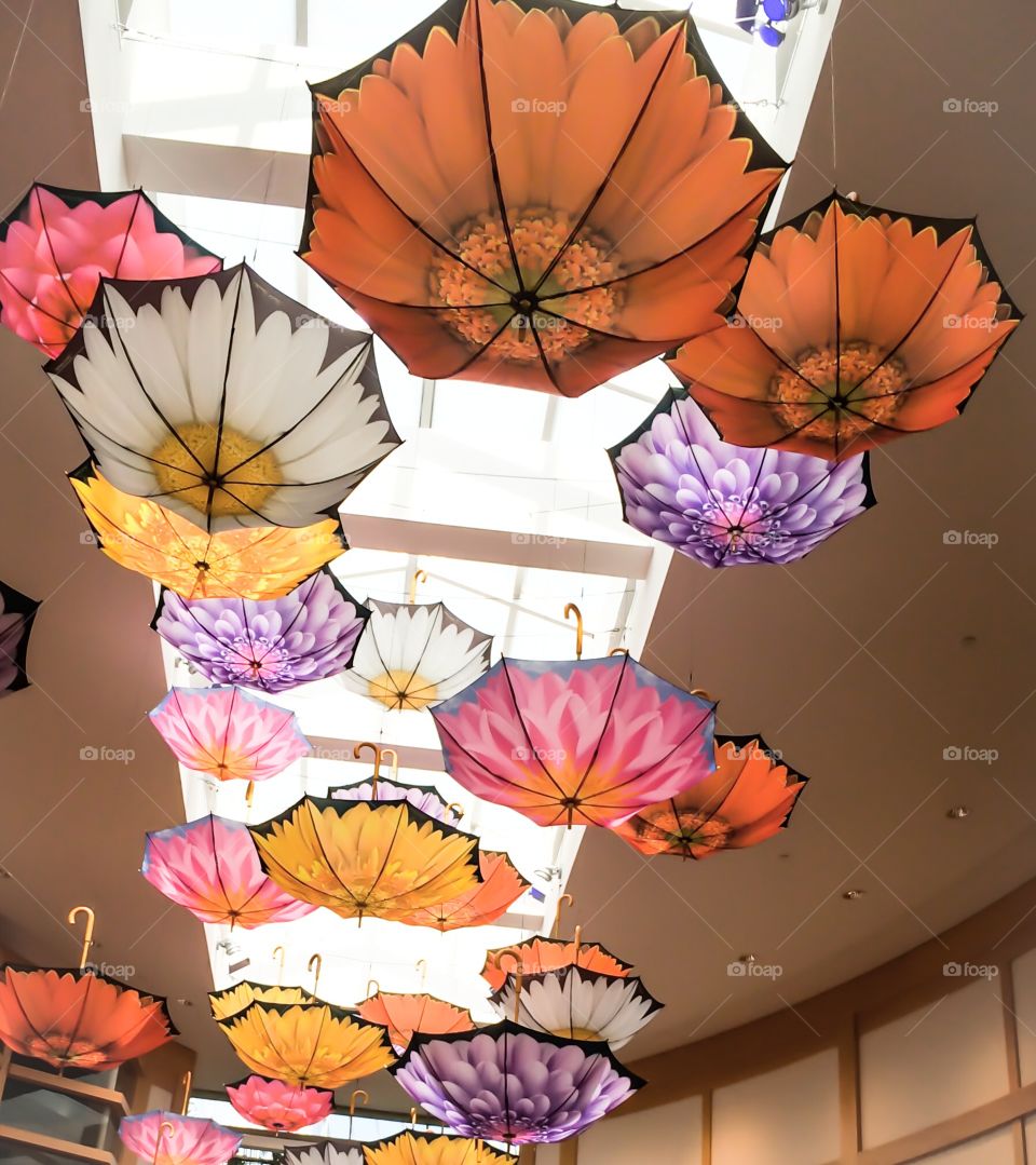 Umbrellas. Cleveland Botanical Gardens