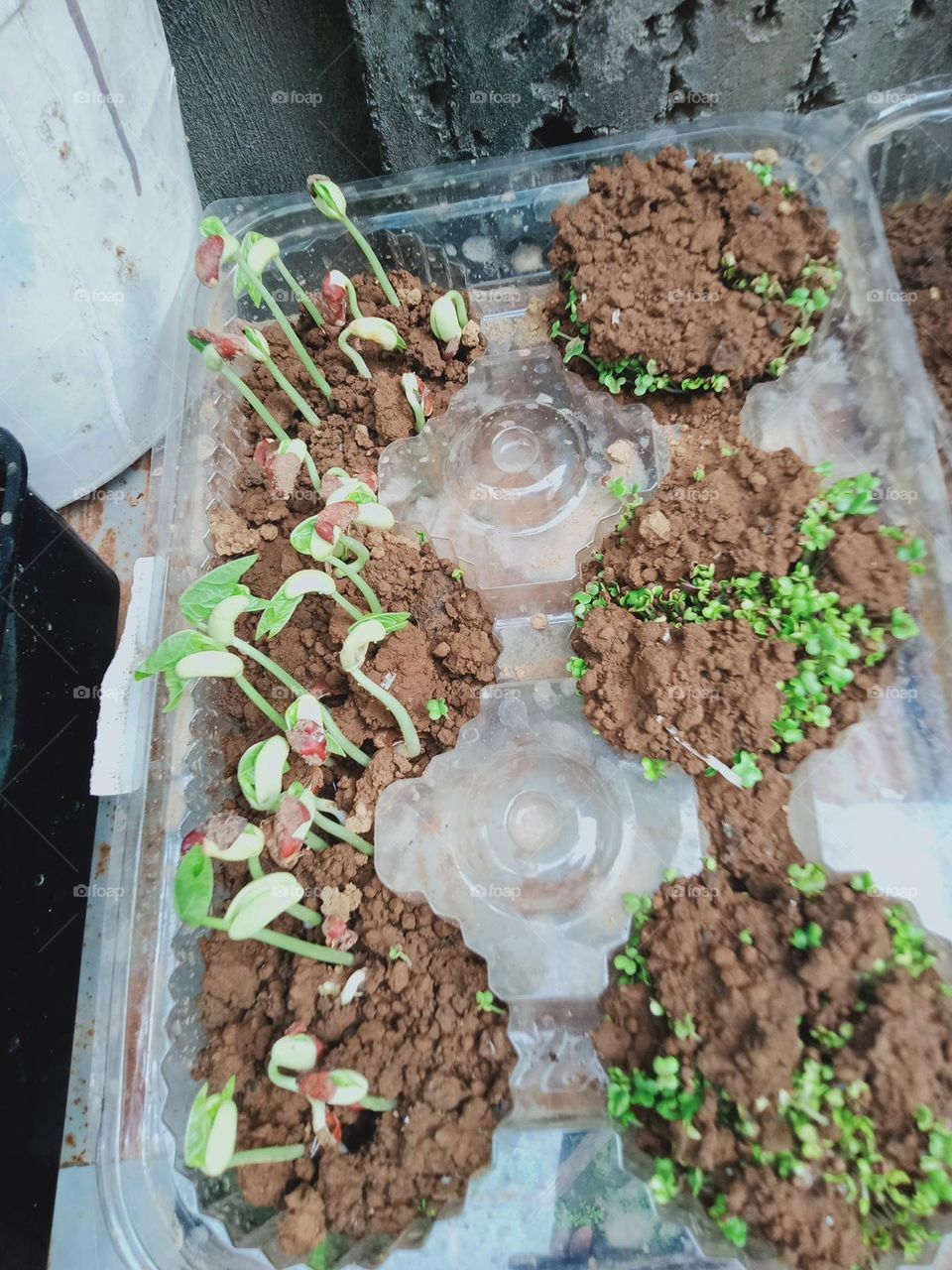 Earth Day is an annual event to demonstrate support for environmental protection and sustainable practices by this we learn to invest in our planet