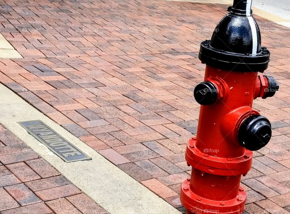 black and red fire hydrant on brick paving next to Wyandotte Rd.