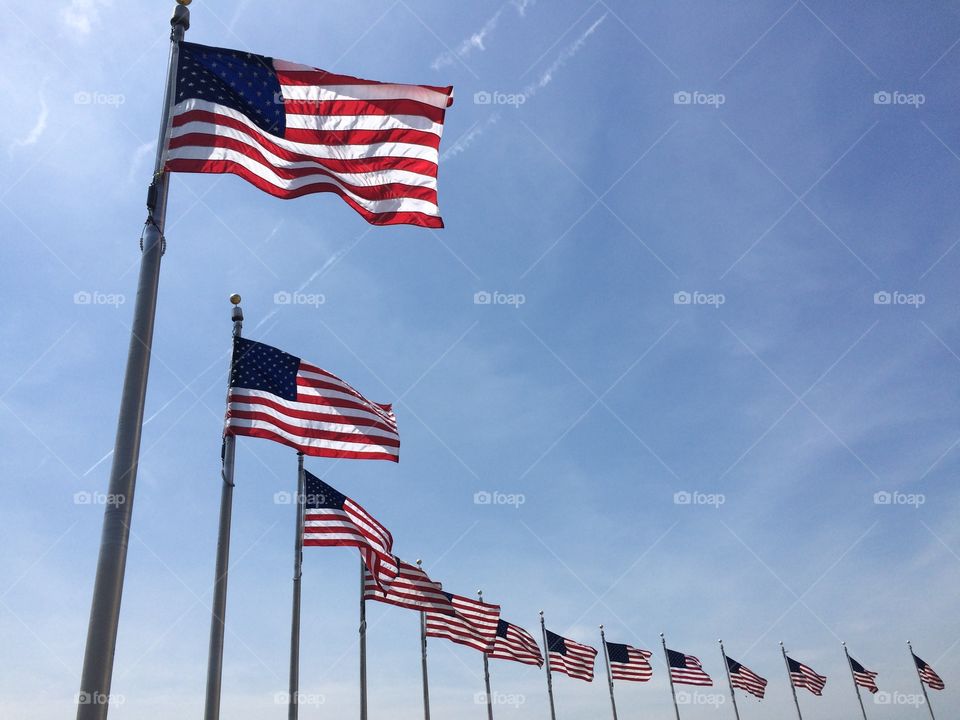 American flags waving as they surround the Washington monument in Washington D.C.