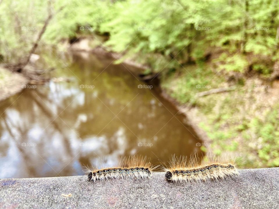 Down by the riverside