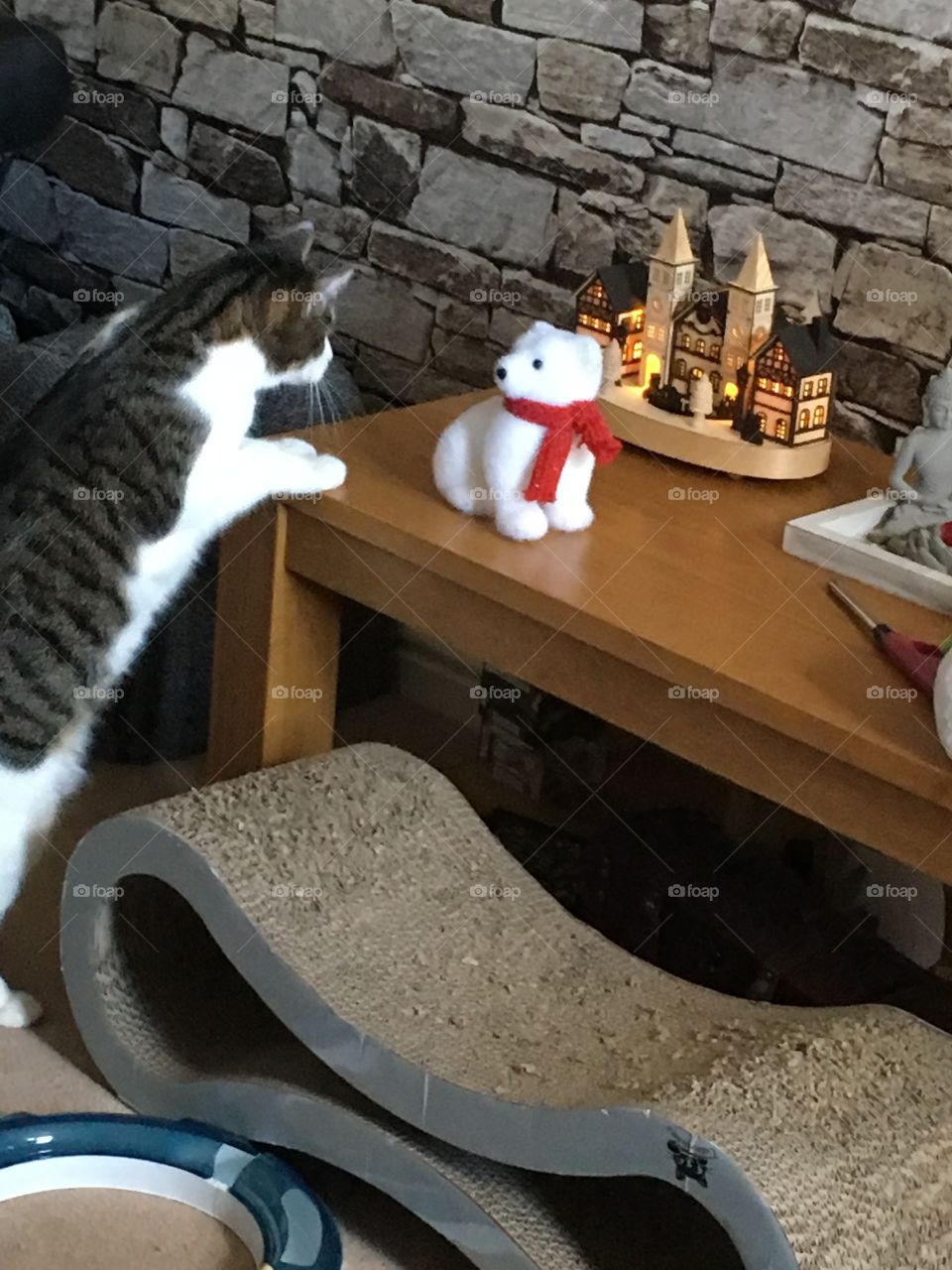 Cat Looking at Decorations