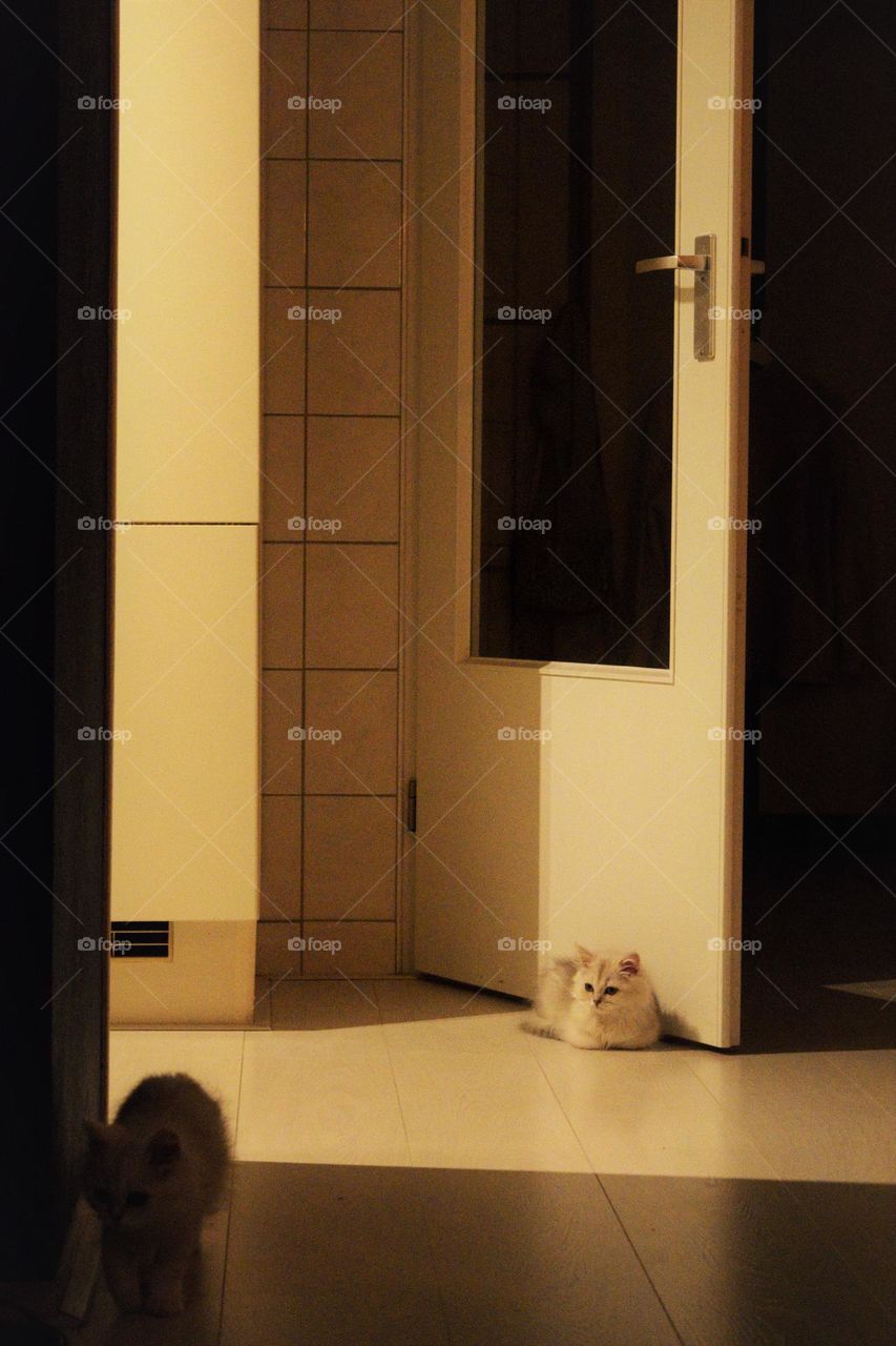 Moving and sprawling