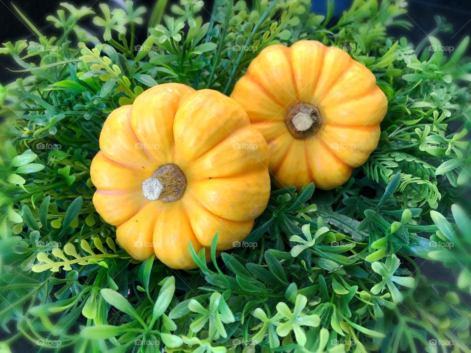 Mini pumpkins for a delicious and healthy meal. 