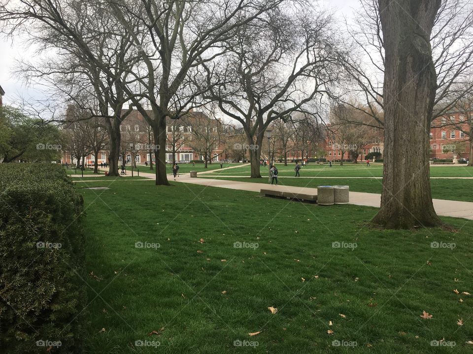 Quad area of a university