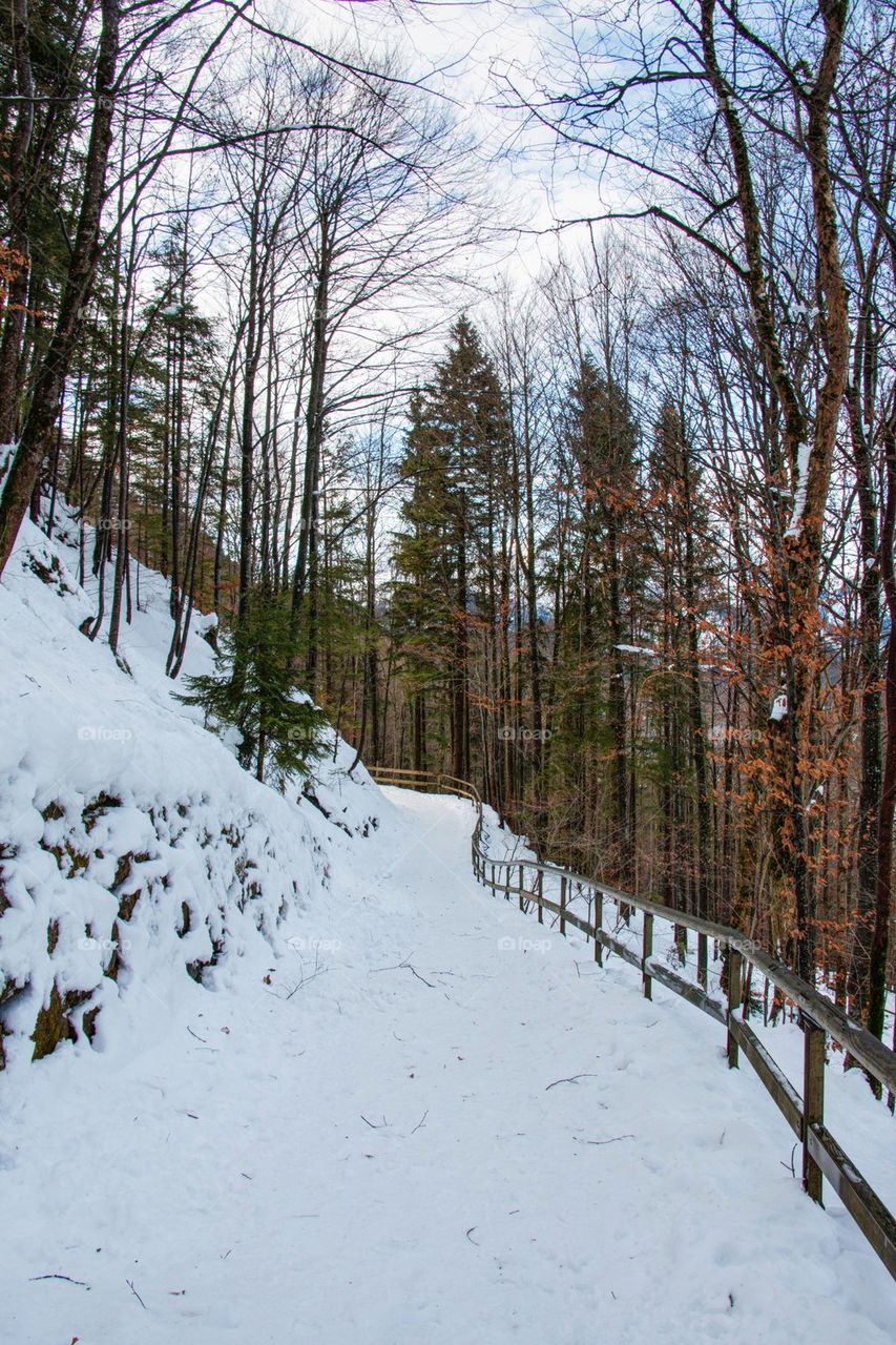 Path from Neuschwanstein 