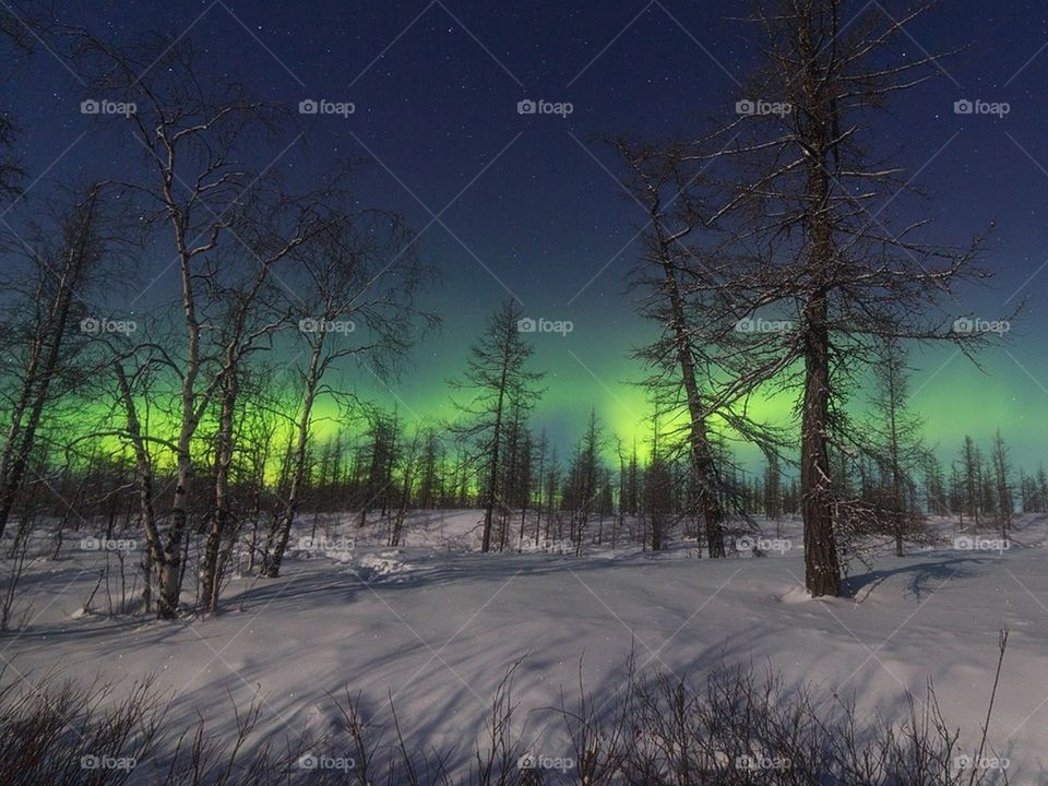 Красота севера , серверное сияние