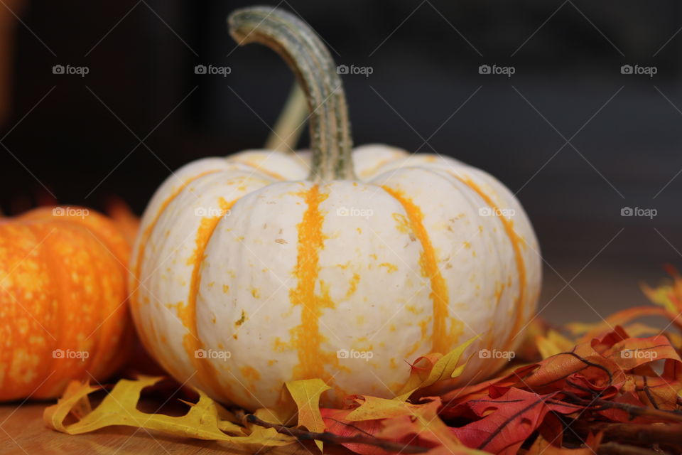 Pumpkin