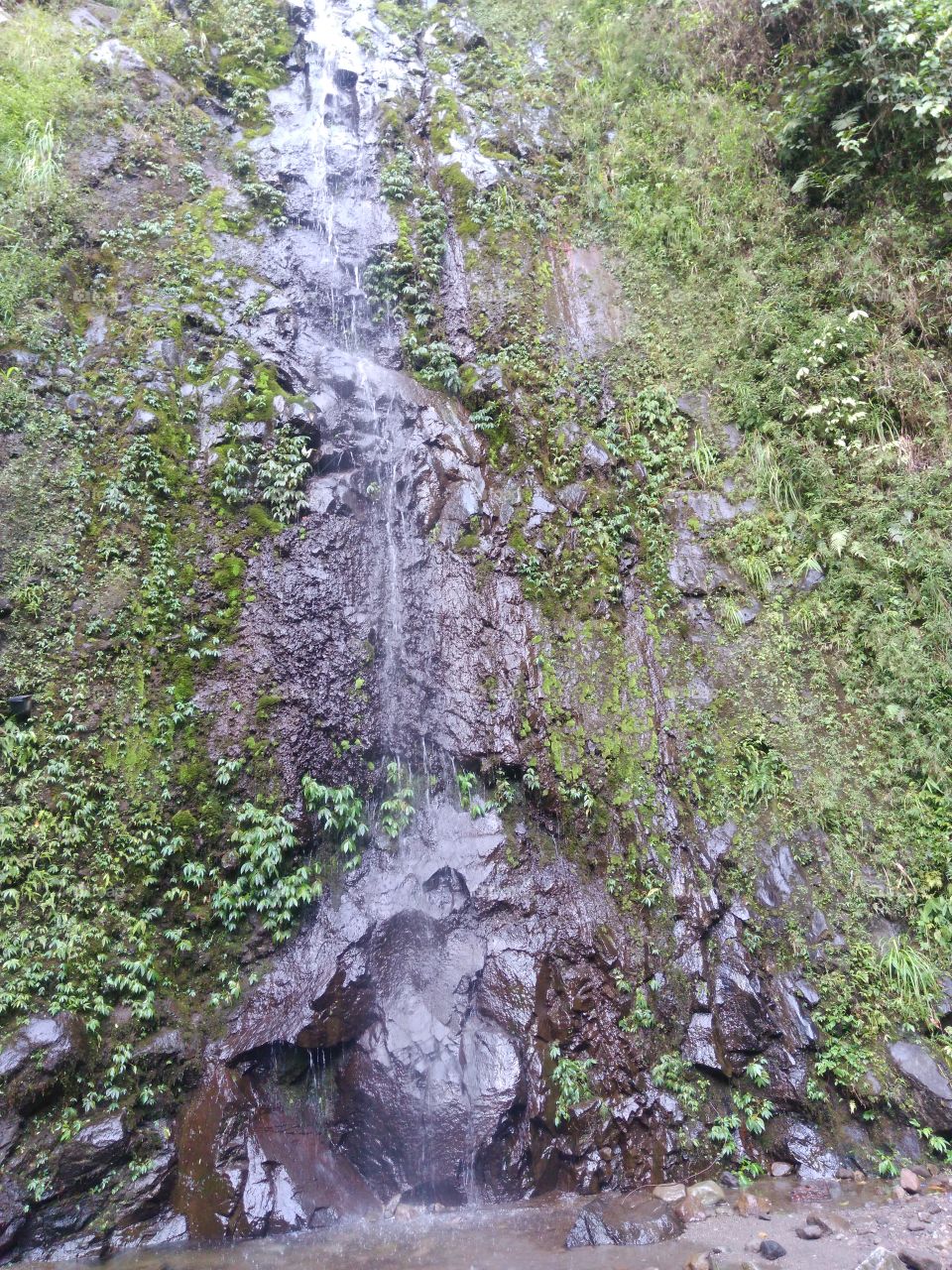a mosh in waterfall
