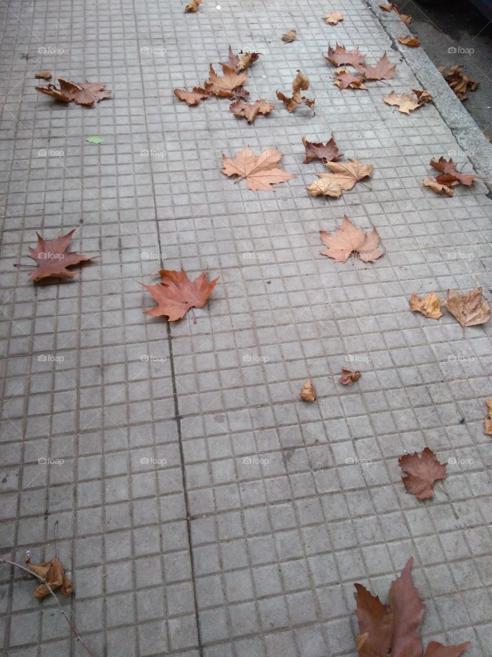 Time of autumn