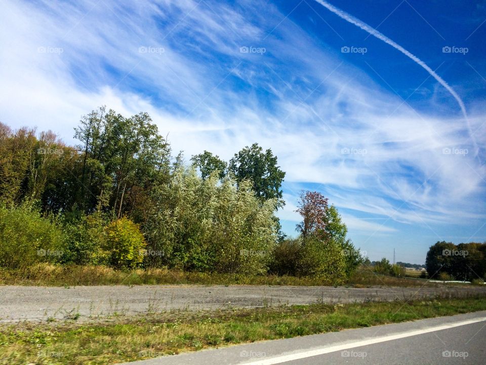 Nature and road