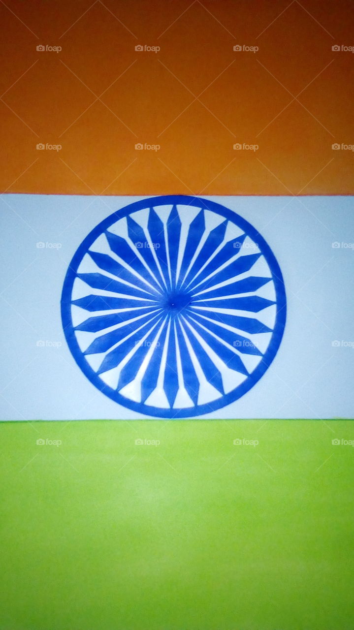 Indian flag tringa. Independent day special.