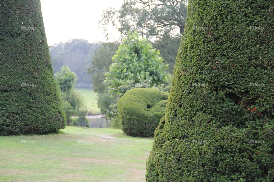 Topiary garden