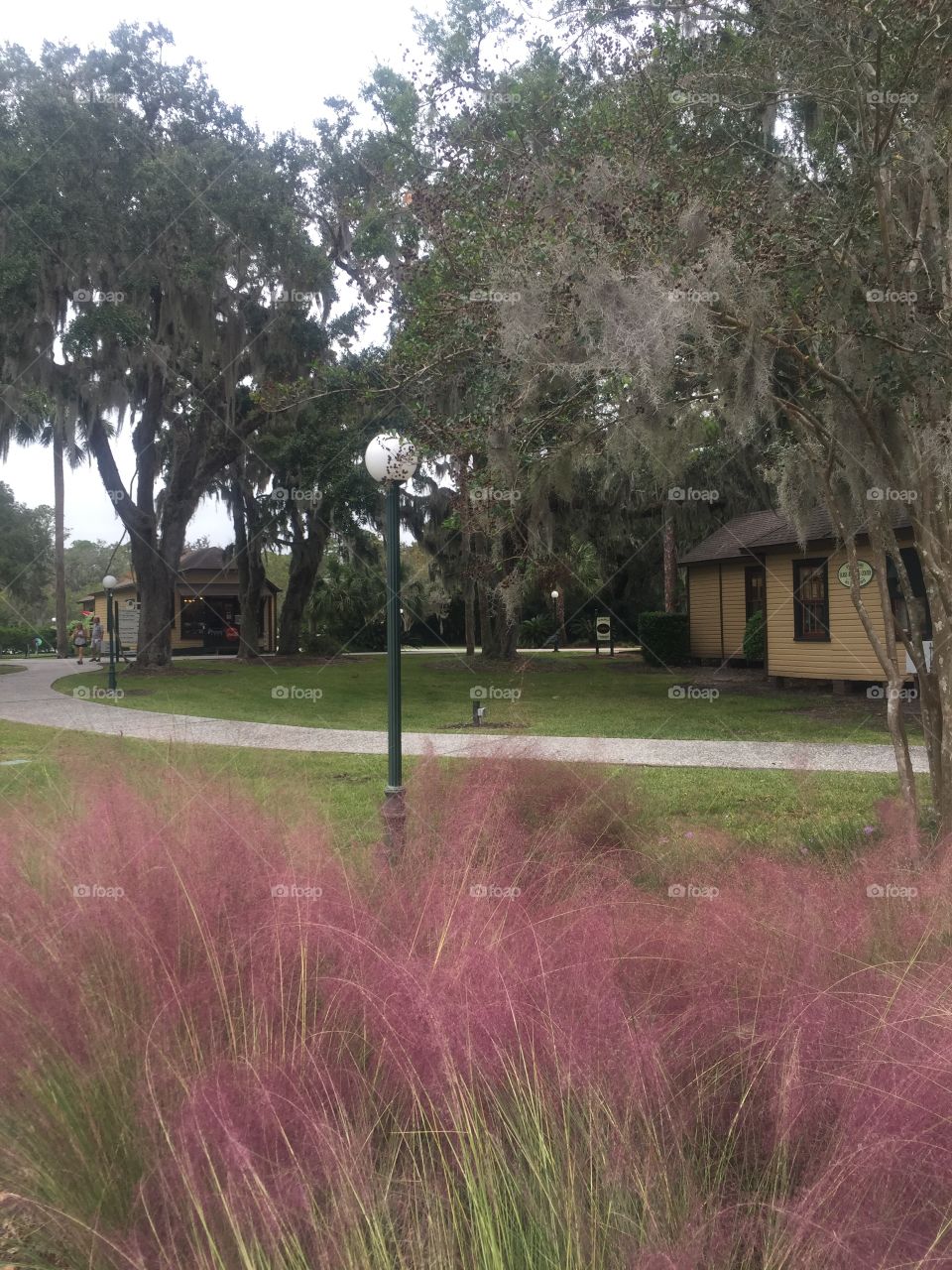Picturesque view Jekyll island 