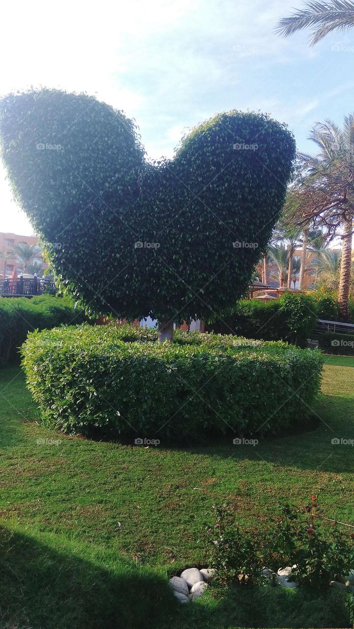 be authentic go green