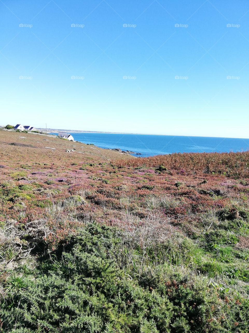 Paysage breton