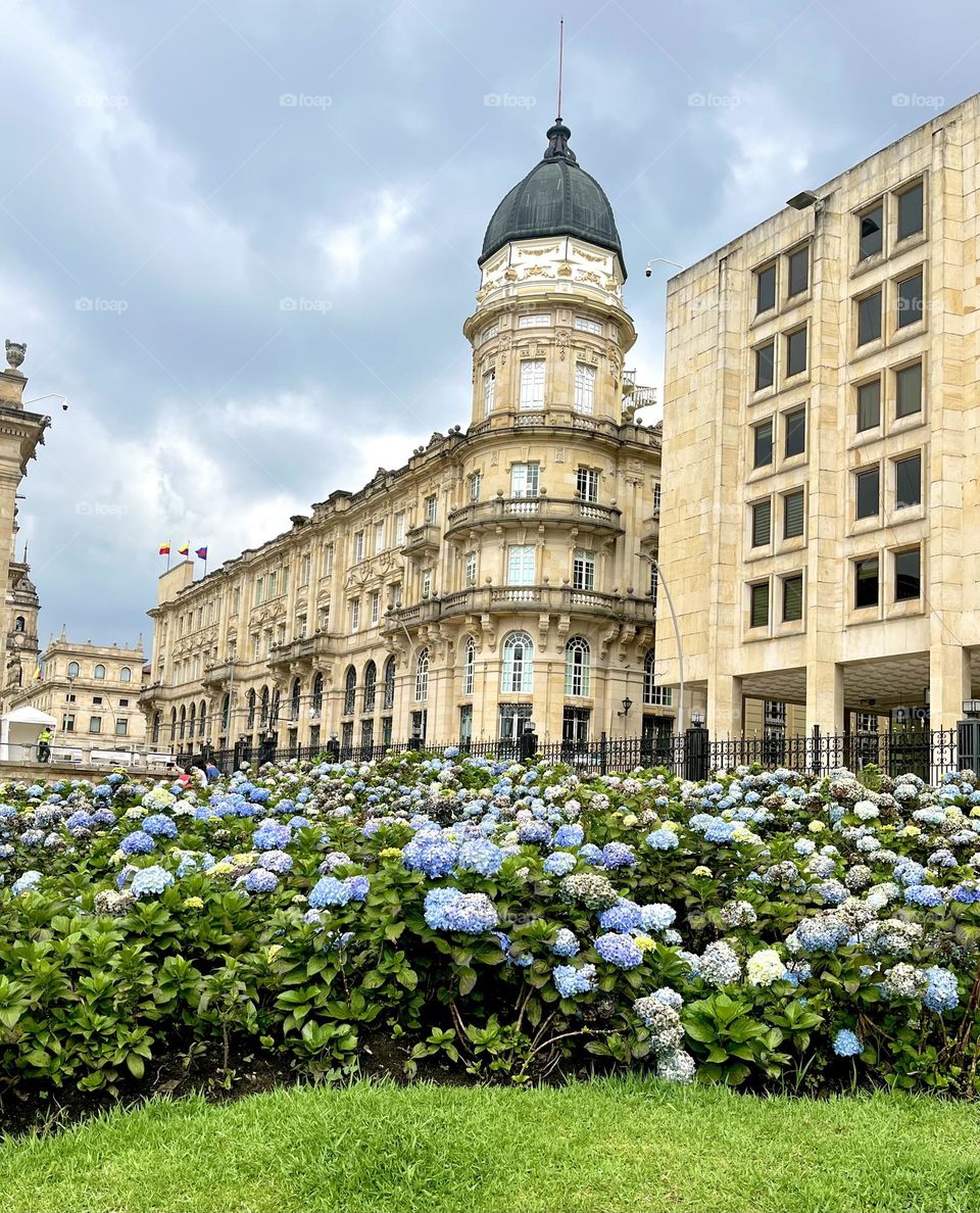 Architecture and some flowers in the yard