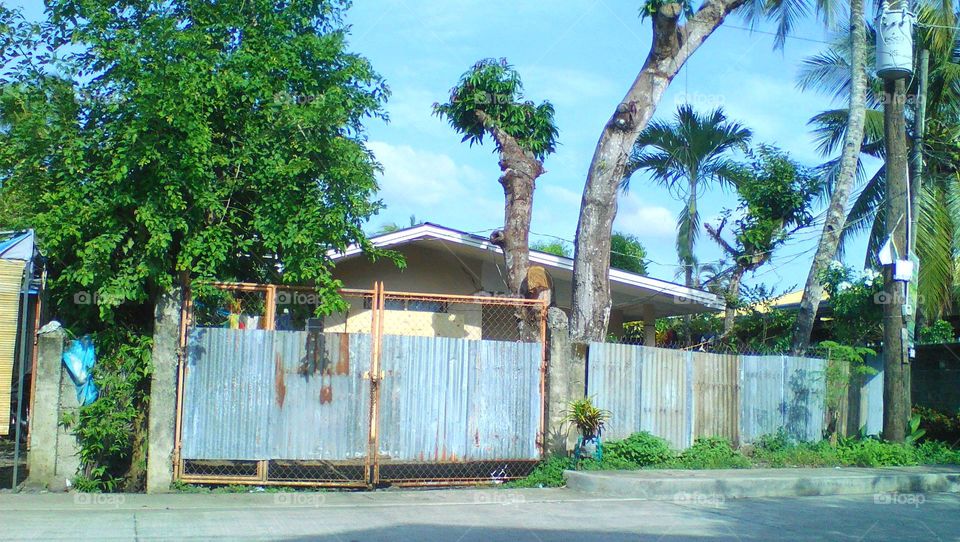Simple Living
@Province life
@Green Nature
@Green Community
Dipolog City, Philippines.