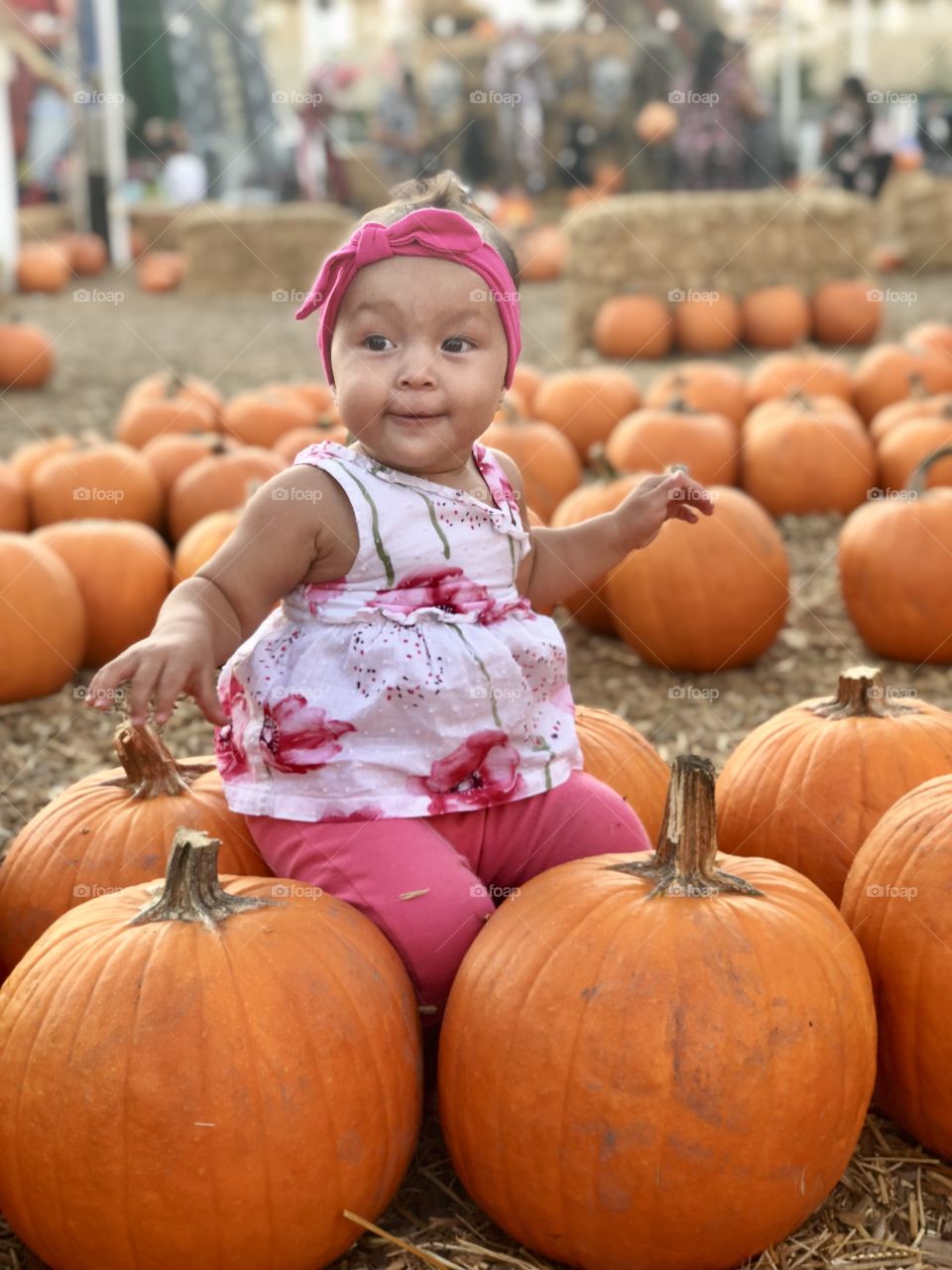 Pumpkins 